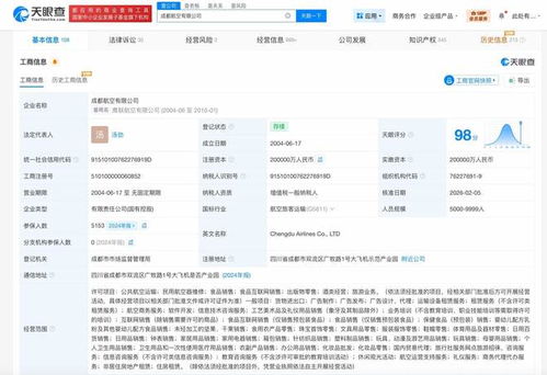 成都航空增資至20億 以信息技術(shù)咨詢服務(wù)為翼，展翅高飛