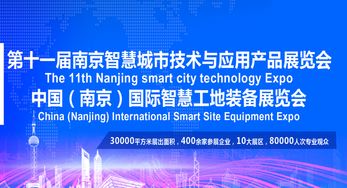 2020第十一屆南京智慧城市技術(shù)與應(yīng)用產(chǎn)品展覽會(huì) 信息技術(shù)咨詢服務(wù)賦能智慧未來