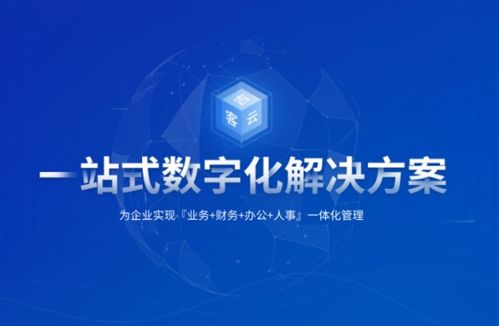 2026年國內(nèi)外主流ERP系統(tǒng)軟件與企業(yè)選型完整參考